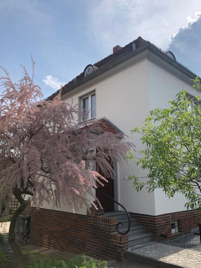 德累斯顿Haus Welzel别墅 外观 照片